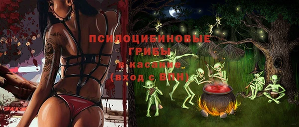 mix Вяземский