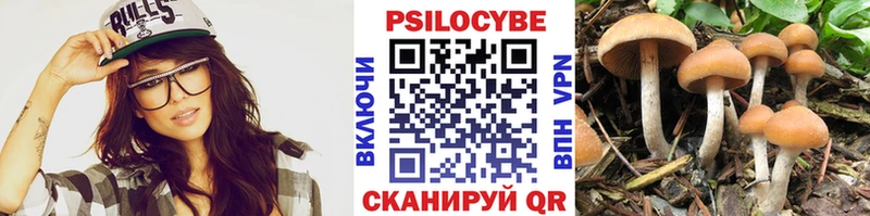 Псилоцибиновые грибы MAGIC MUSHROOMS Змеиногорск