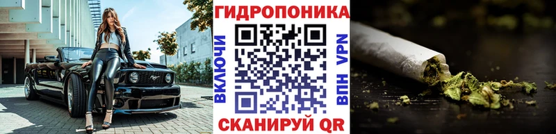 цена   Змеиногорск  Конопля индика 